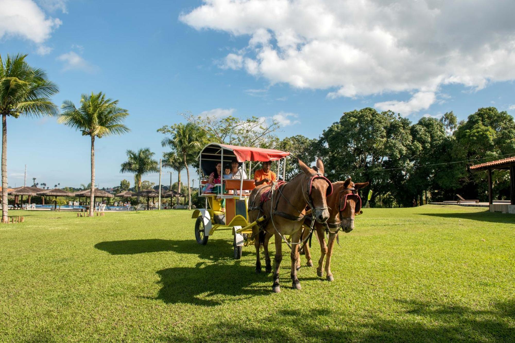 Hotel Fazenda Mirage フェイラ・デ・サンタナ エクステリア 写真